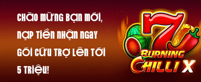 Ưu Đãi Nạp Lần Đầu Cực Sốc promotion